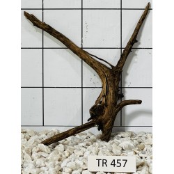 Spiderwood 457