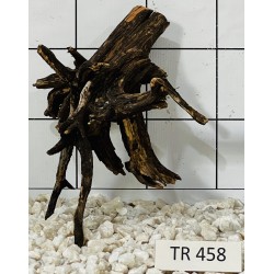 Spiderwood 458