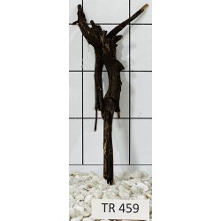 Spiderwood 459
