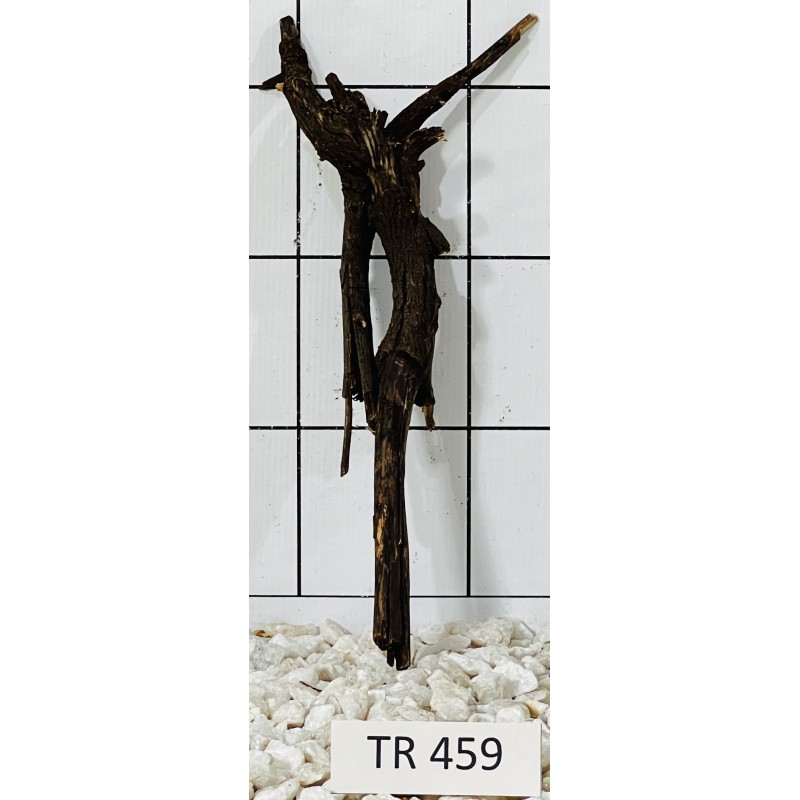 Spiderwood 459