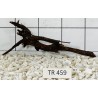 Spiderwood 459