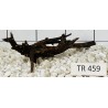 Spiderwood 459