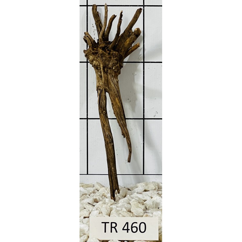 Spiderwood 460