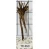 Spiderwood 460