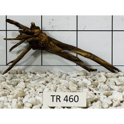 Spiderwood 460