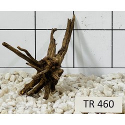 Spiderwood 460