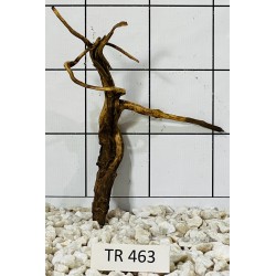 Spiderwood 463