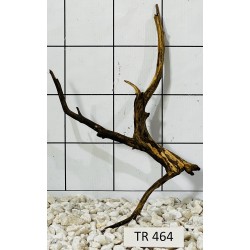 Spiderwood 464