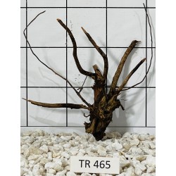 Spiderwood 465