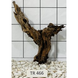 Spiderwood 466