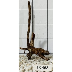 Spiderwood 468