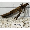 Spiderwood 469