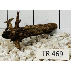 Spiderwood 469