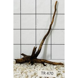 Spiderwood 470