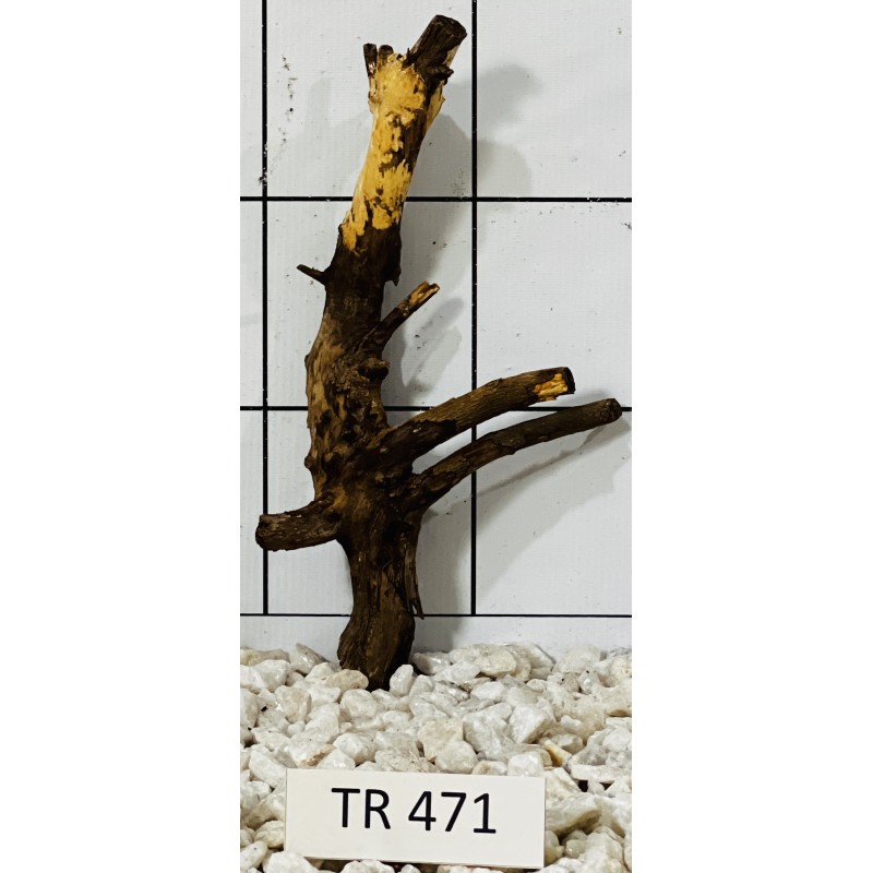 Spiderwood 471