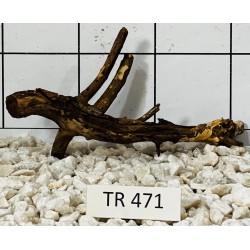 Spiderwood 471