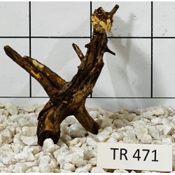 Spiderwood 471
