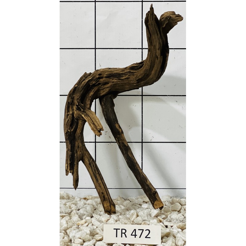 Spiderwood 472