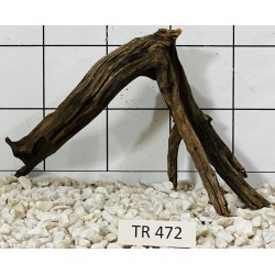Spiderwood 472