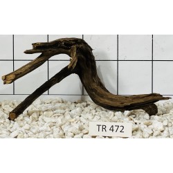 Spiderwood 472