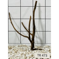 Spiderwood 473
