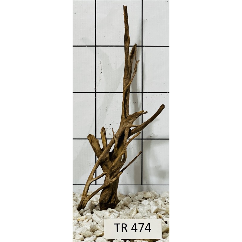 Spiderwood 474