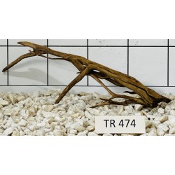 Spiderwood 474