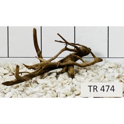 Spiderwood 474