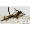 Spiderwood 474