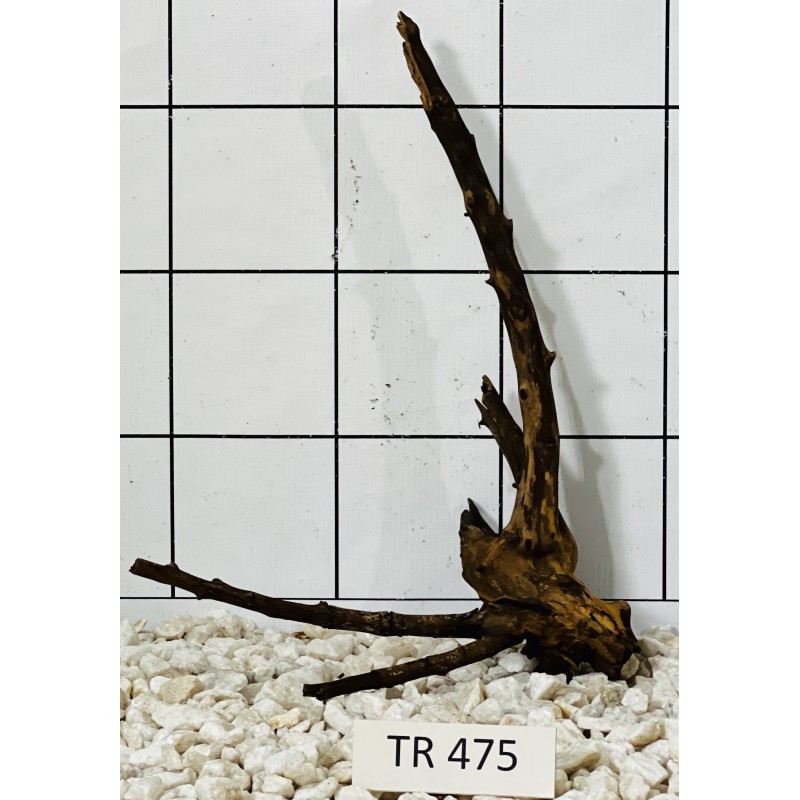 Spiderwood 475