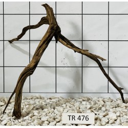 Spiderwood 476