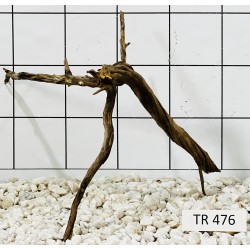 Spiderwood 476