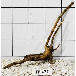 Spiderwood 477