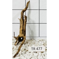 Spiderwood 477
