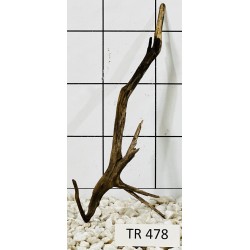 Spiderwood 478