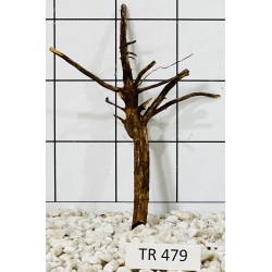 Spiderwood 479