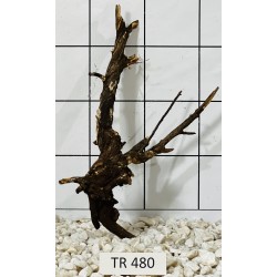 Spiderwood 480