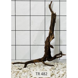 Spiderwood 482