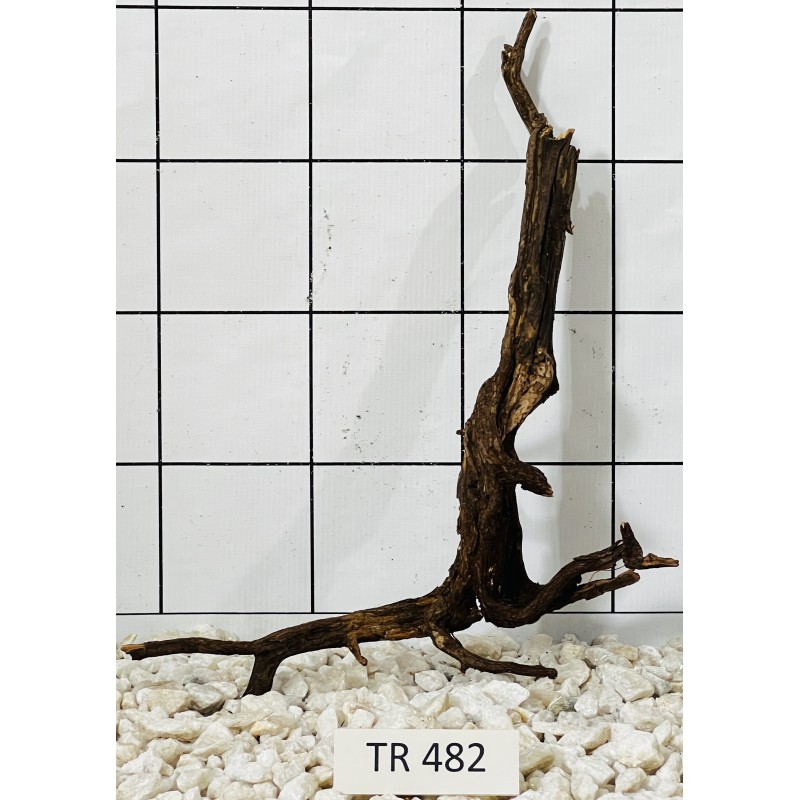 Spiderwood 482