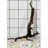 Spiderwood 482