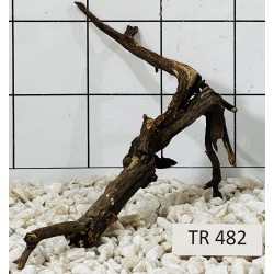 Spiderwood 482