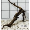 Spiderwood 482