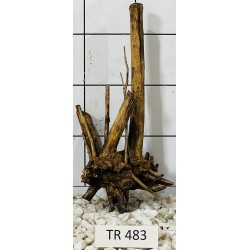 Spiderwood 483