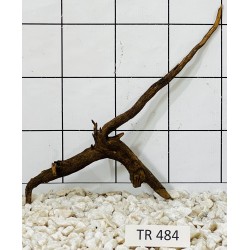 Spiderwood 484