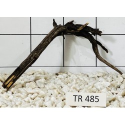 Spiderwood 485