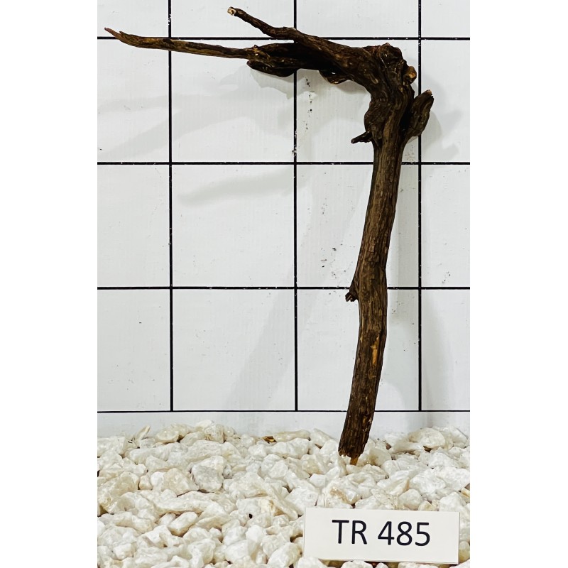 Spiderwood 485