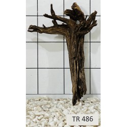Spiderwood 486