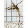 Spiderwood 487