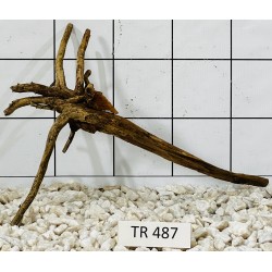Spiderwood 487