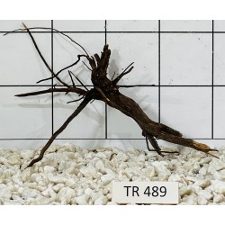Spiderwood 489